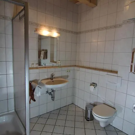 Haflingerhof Galster
